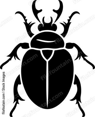 Beetle Trichodes