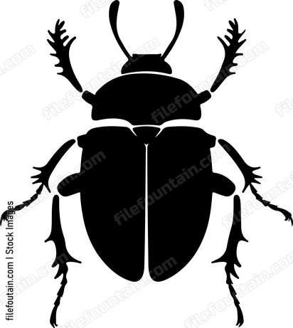 Beetle Trichodes