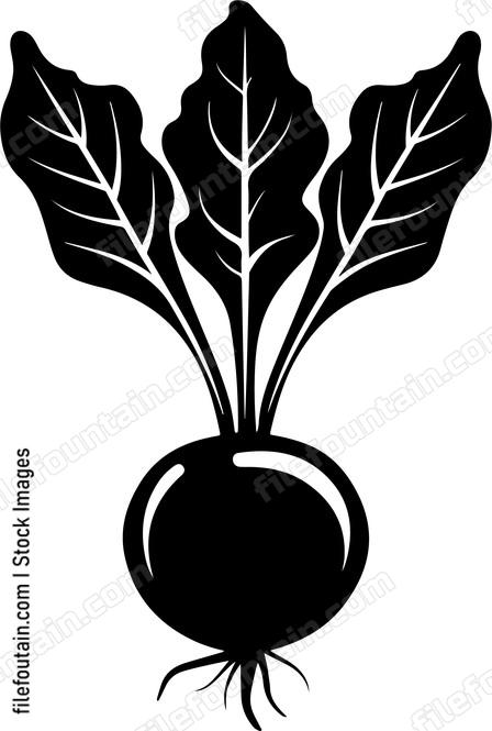 Beetroot