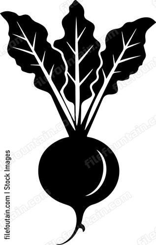Beetroot