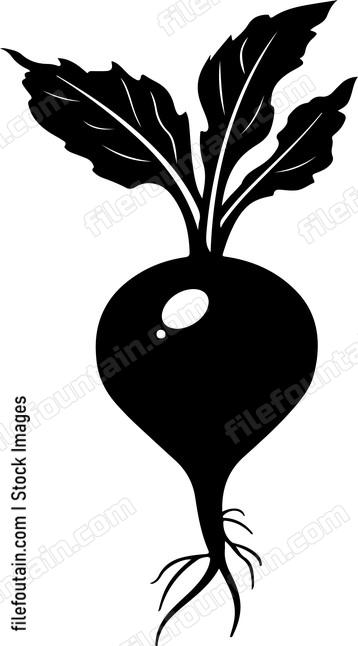 Beetroot