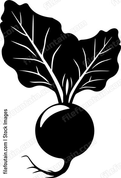 Beetroot