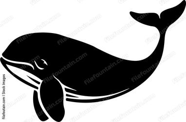 Beluga Whale