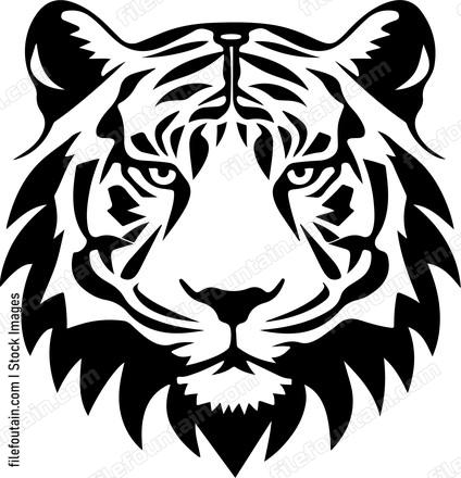 Bengal Tiger