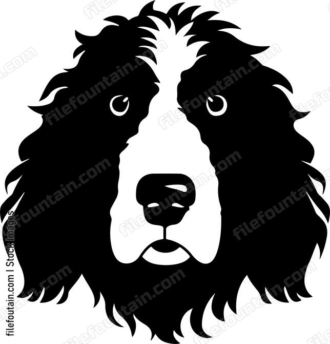 Bernedoodle Head