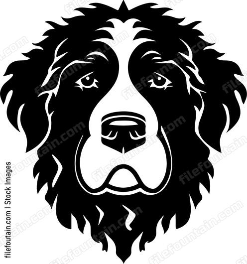 Bernedoodle Head