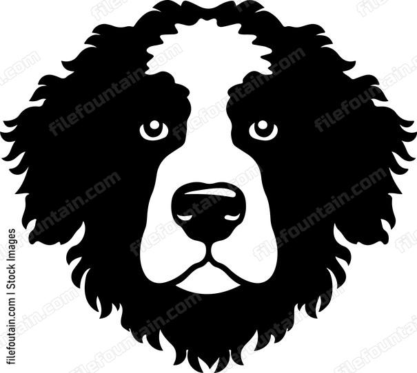 Bernedoodle Head