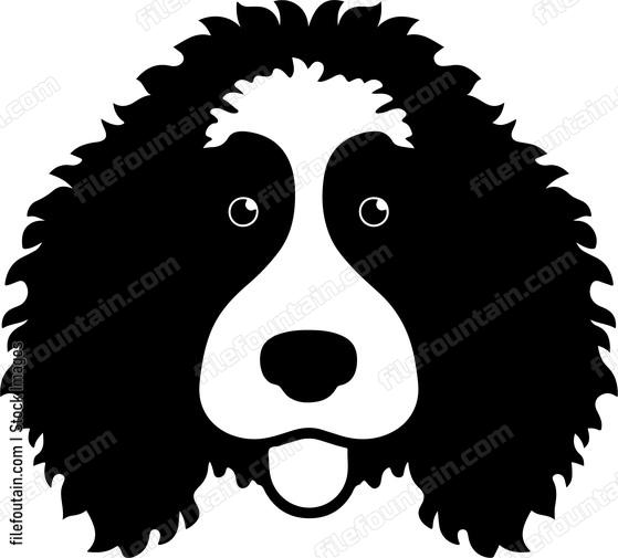 Bernedoodle Head