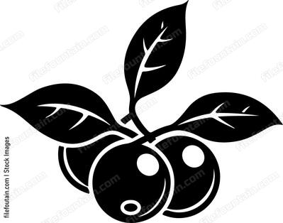 Berries Fruits