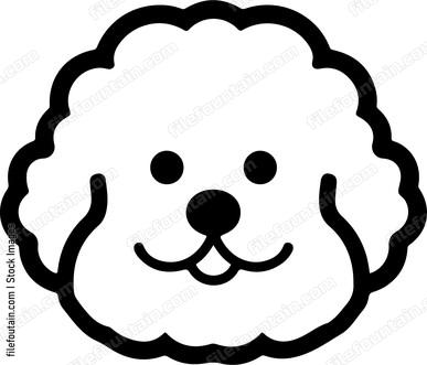 Bichon Frise