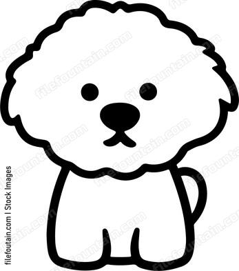 Bichon Frise