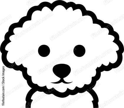 Bichon Frise