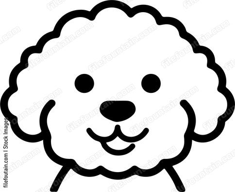 Bichon Frise