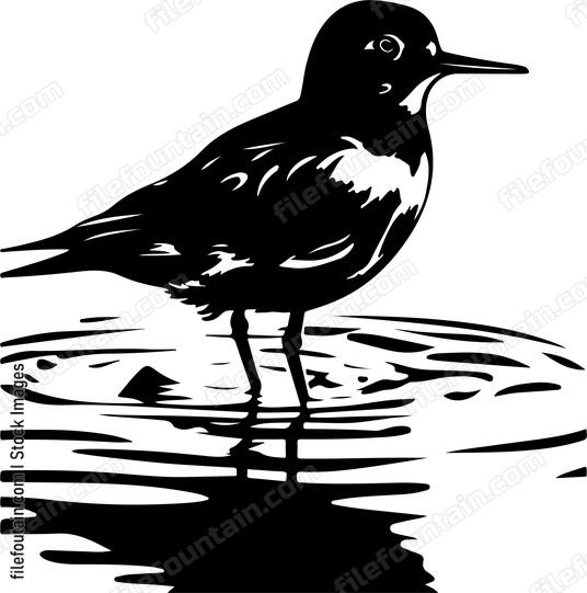Bird in a water puddle