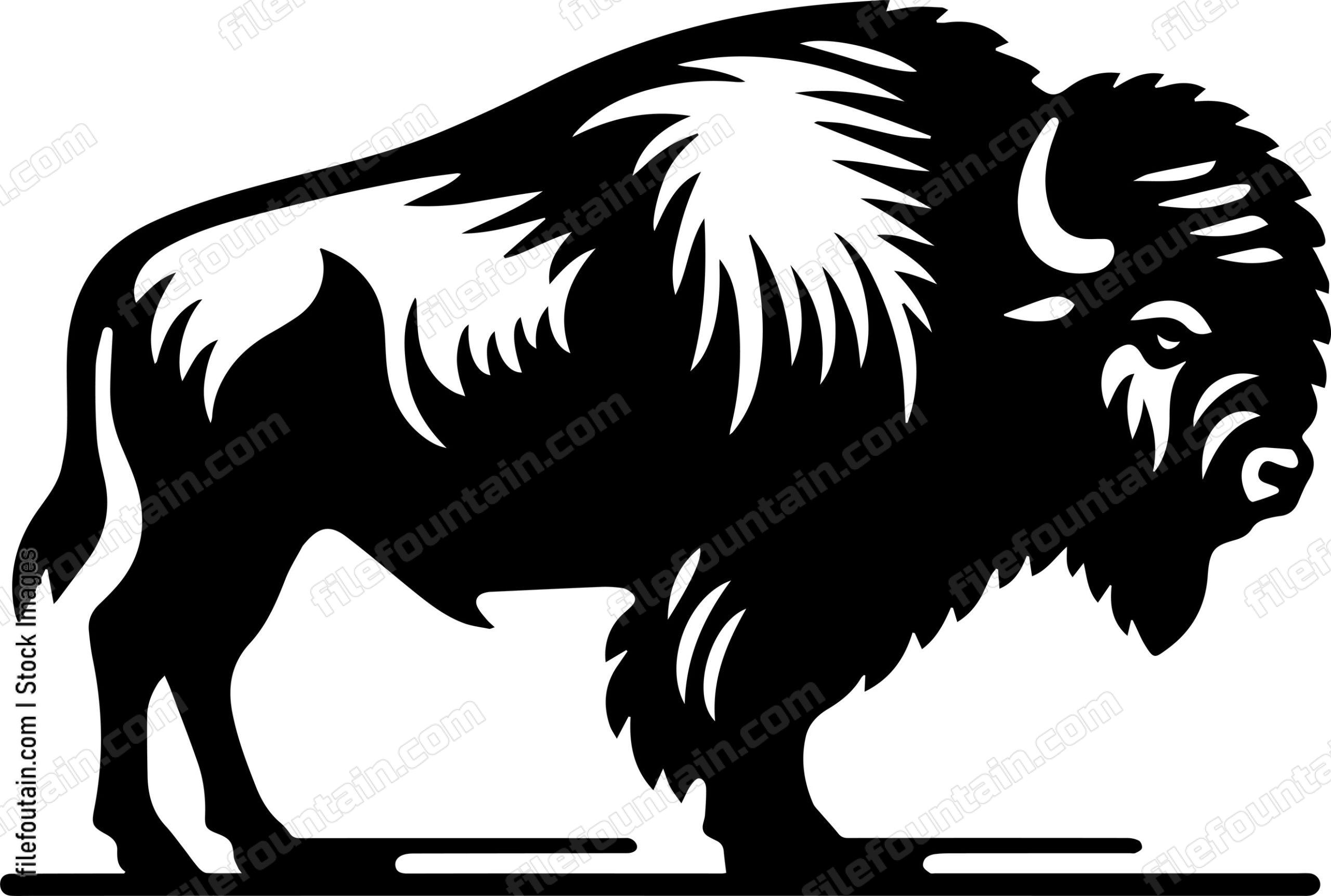 Bison