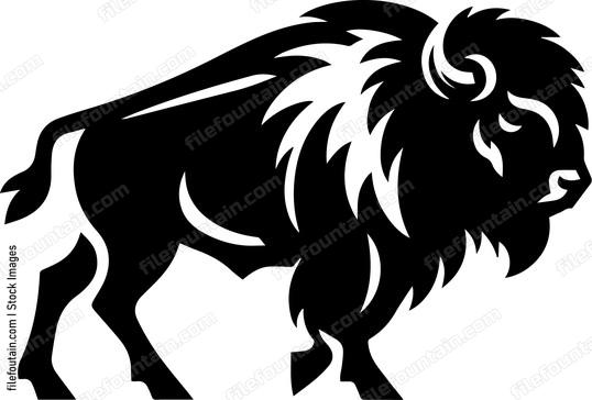 Bison