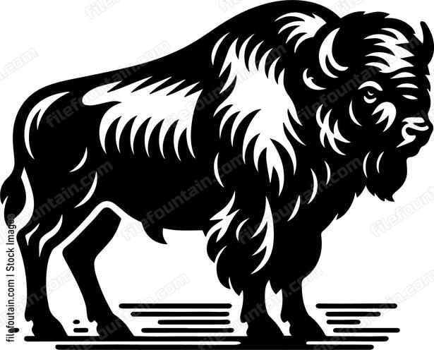 Bison