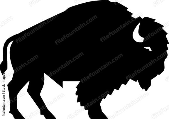 Bison
