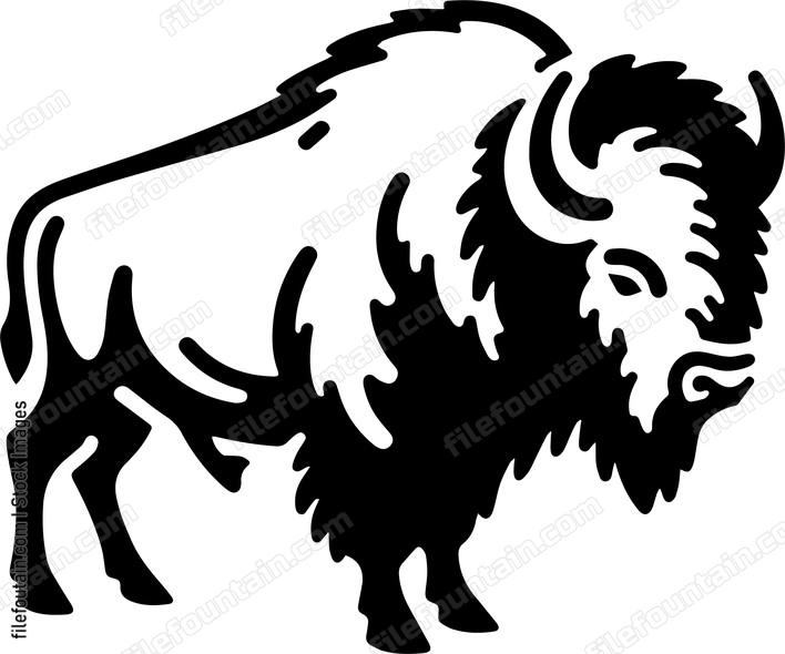 Bison