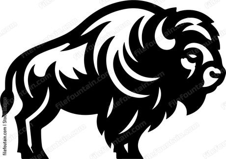 Bison