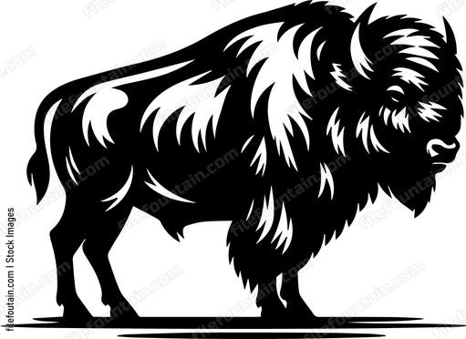 Bison