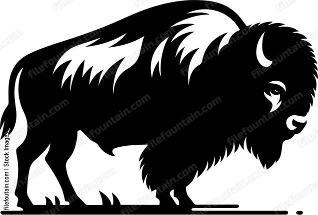 Bison