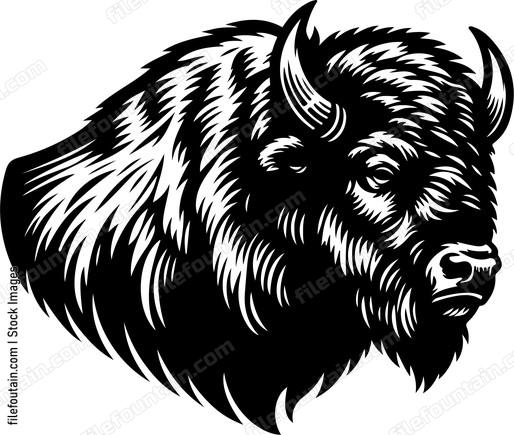 Bison