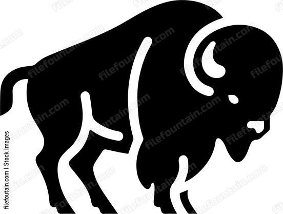 Bison