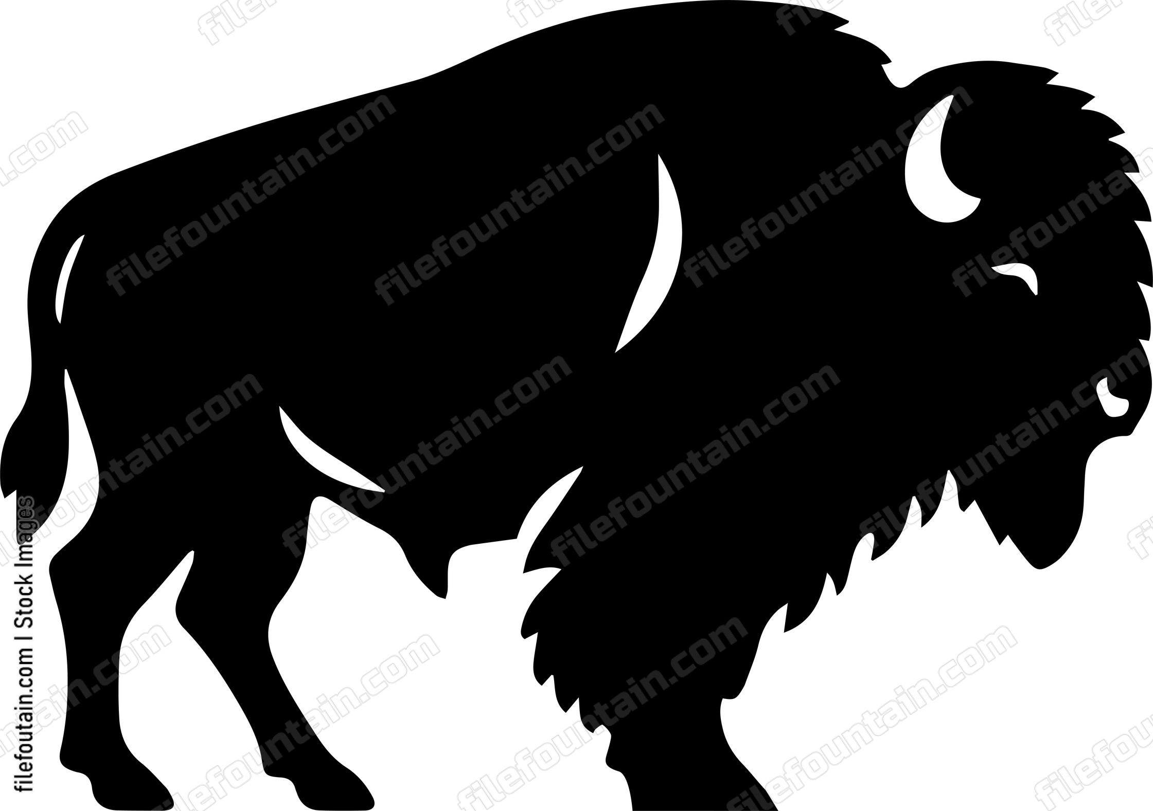 Bison
