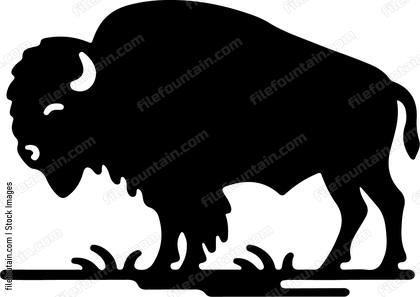 Bison