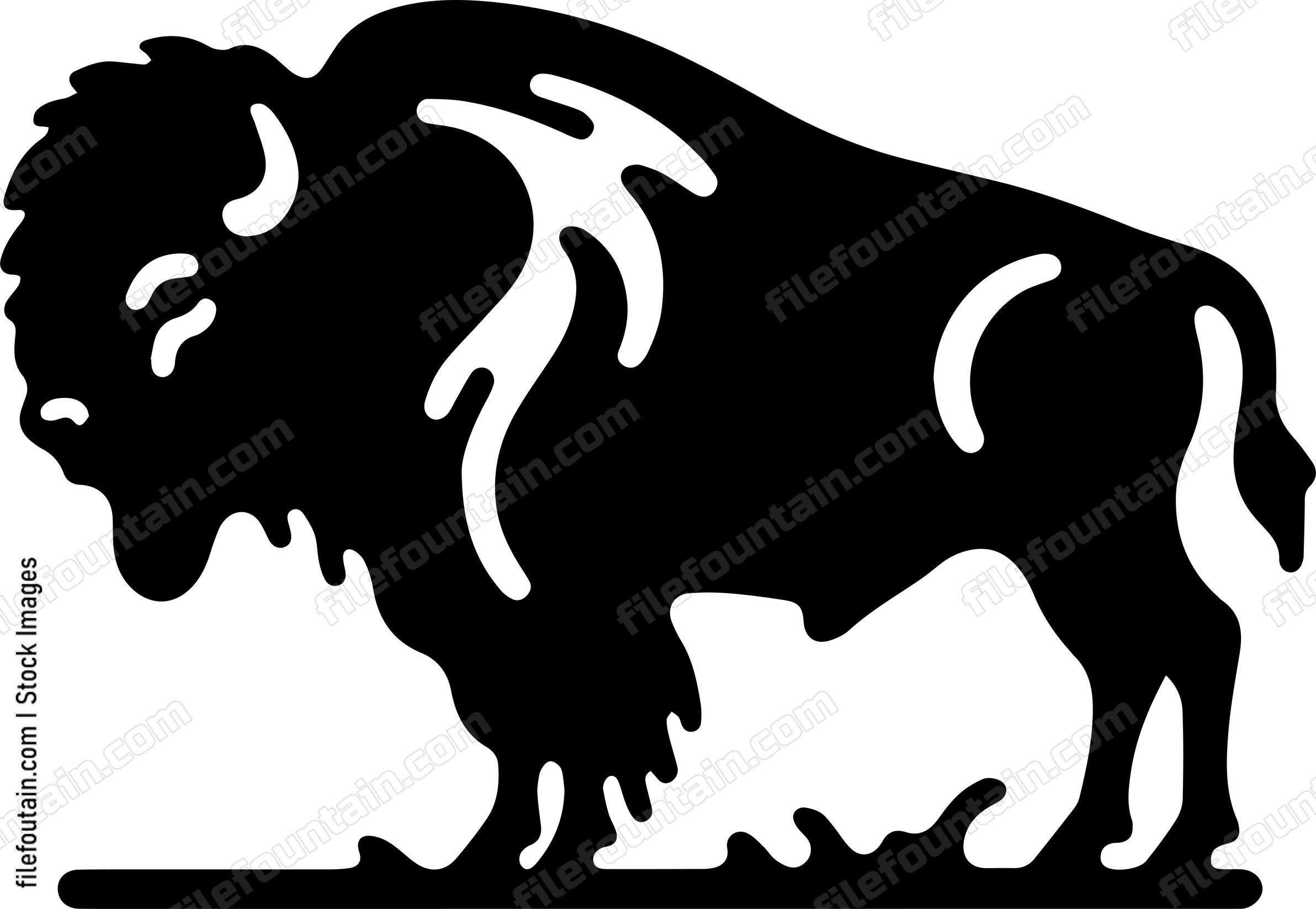 Bison