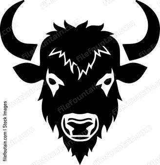 Bison