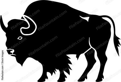Bison