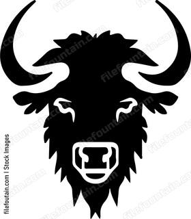 Bison Buffalo