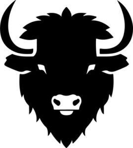 Bison Buffalo