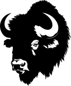 Bison Buffalo