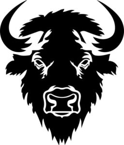 Bison Buffalo