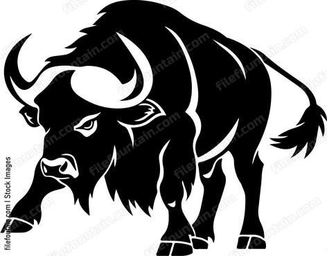 Bison Buffalo Charging