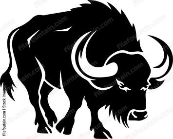 Bison Buffalo Charging