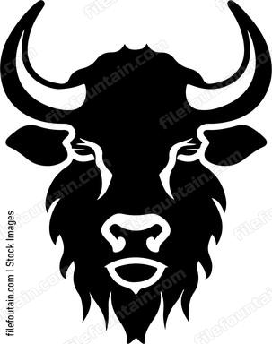 Bison Head