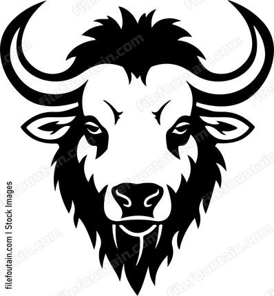 Bison Head