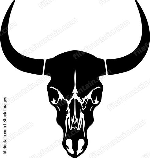 Bison Skeleton
