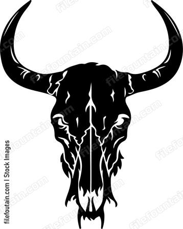 Bison Skeleton