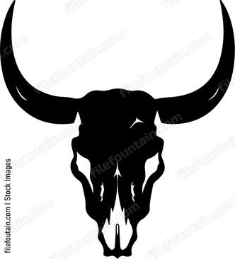 Bison Skull