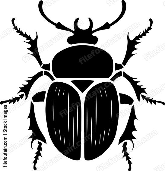 Black Scarab Beetle