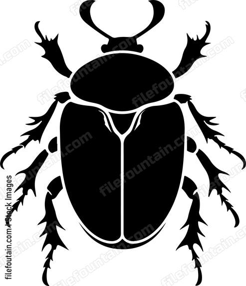 Black Scarab Beetle