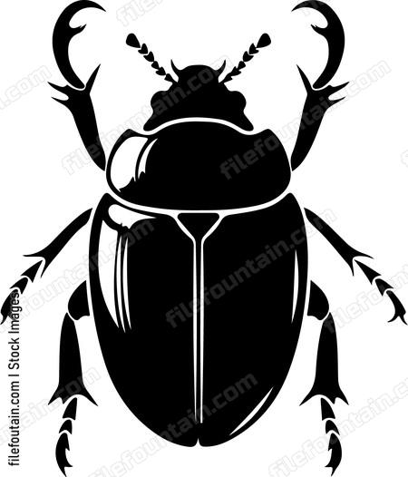 Black Scarab Beetle