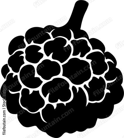 Black Truffle