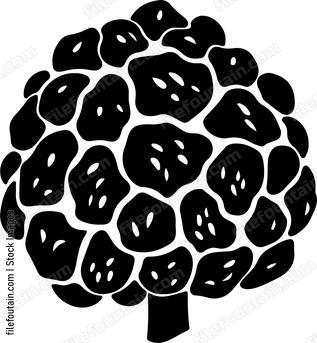 Black Truffle
