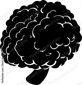 Black Truffle